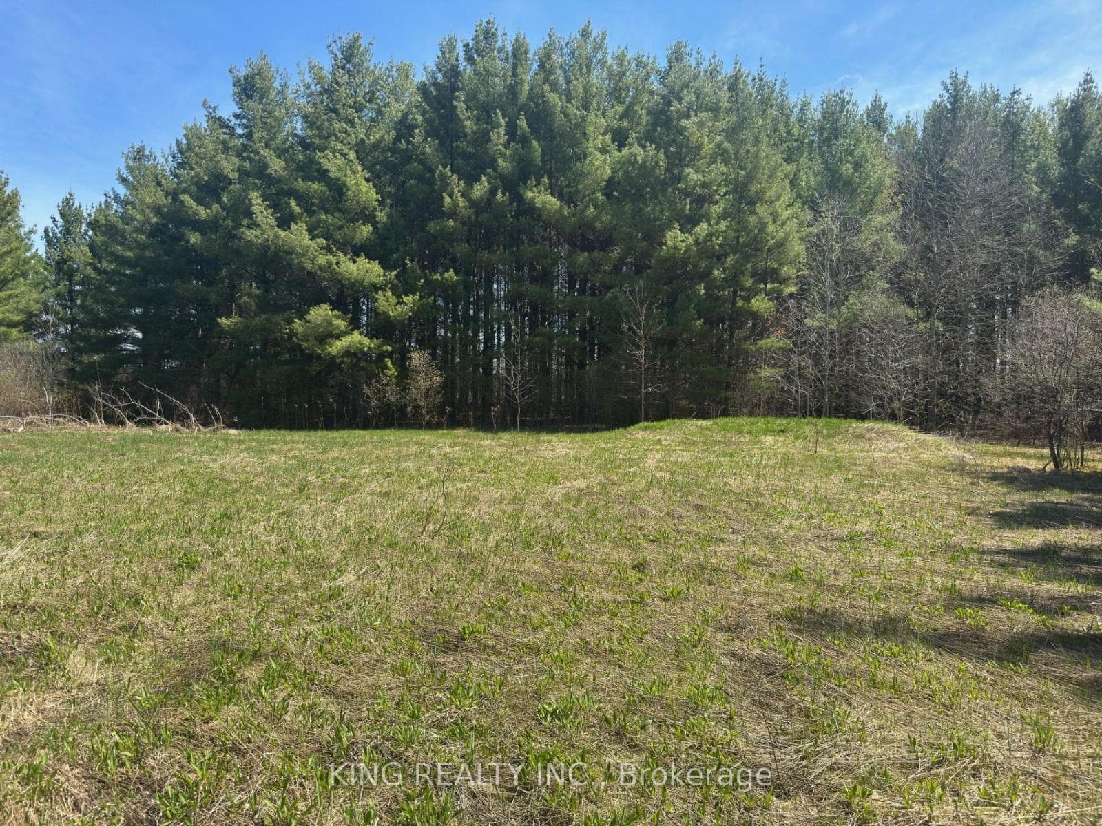 6081 Hwy 89, Clifford Road, Minto, ON N0G 1M0, Minto — photo 1