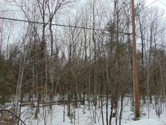Lot 11 Plan 580 North Drive, Dysart et al, ON K0M 1S0, Dysart et al — photo 1