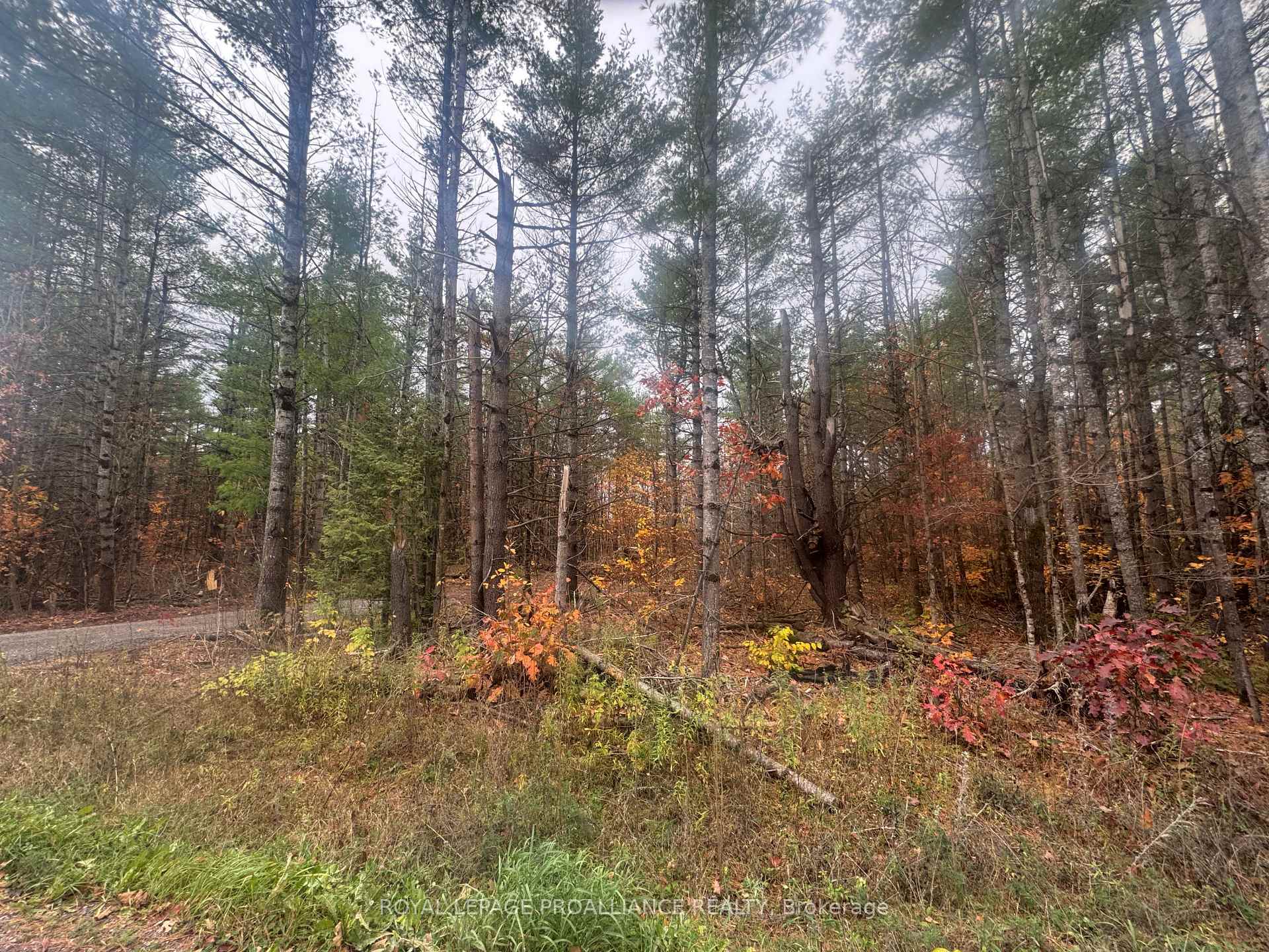 945 Shanick Road, Marmora and Lake, ON K0K 2M0, Marmora and Lake — photo 1