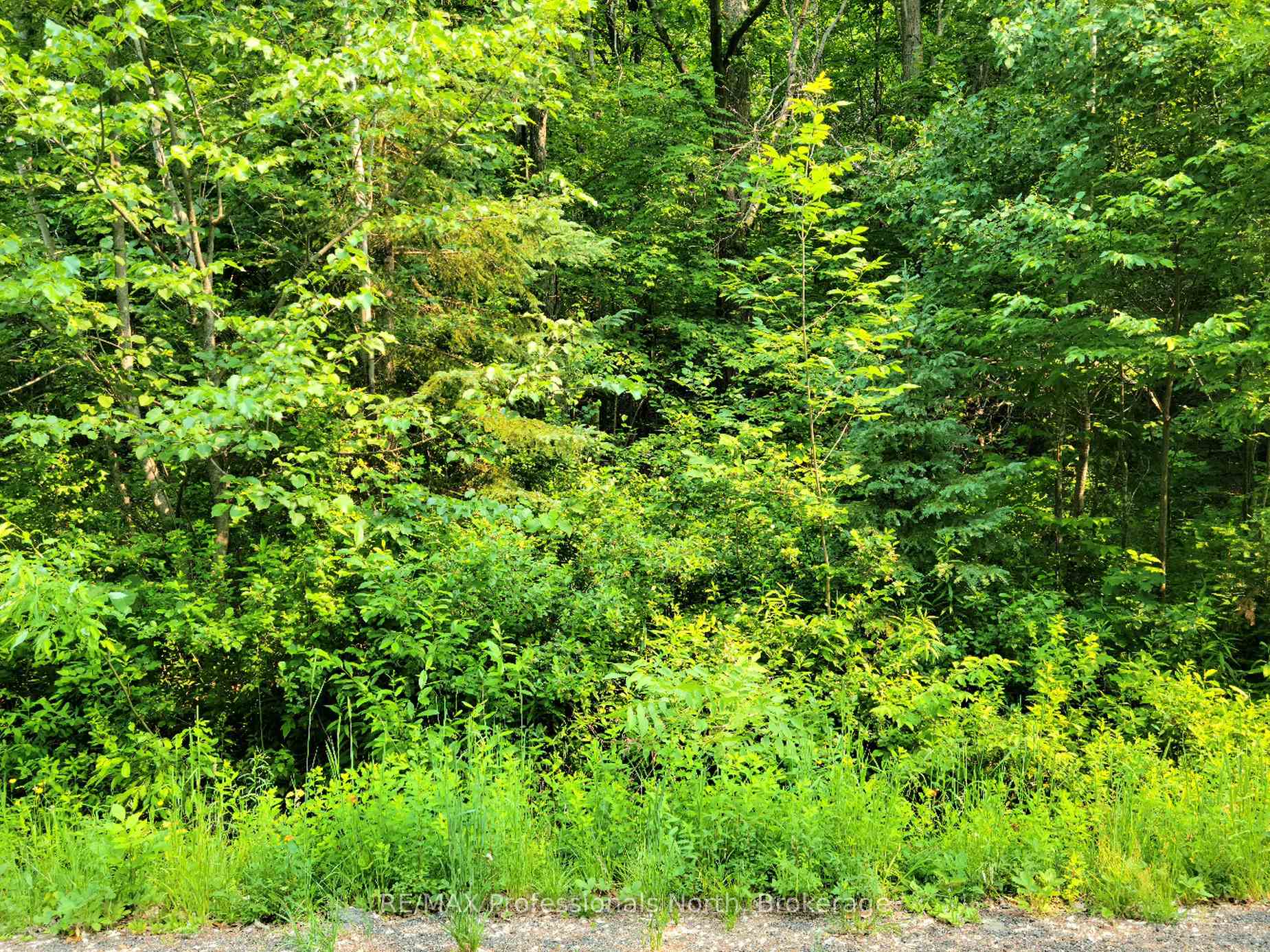 26 MOUNT VERNON Trail 19, Huntsville, ON P1H 1E3, Huntsville — photo 1
