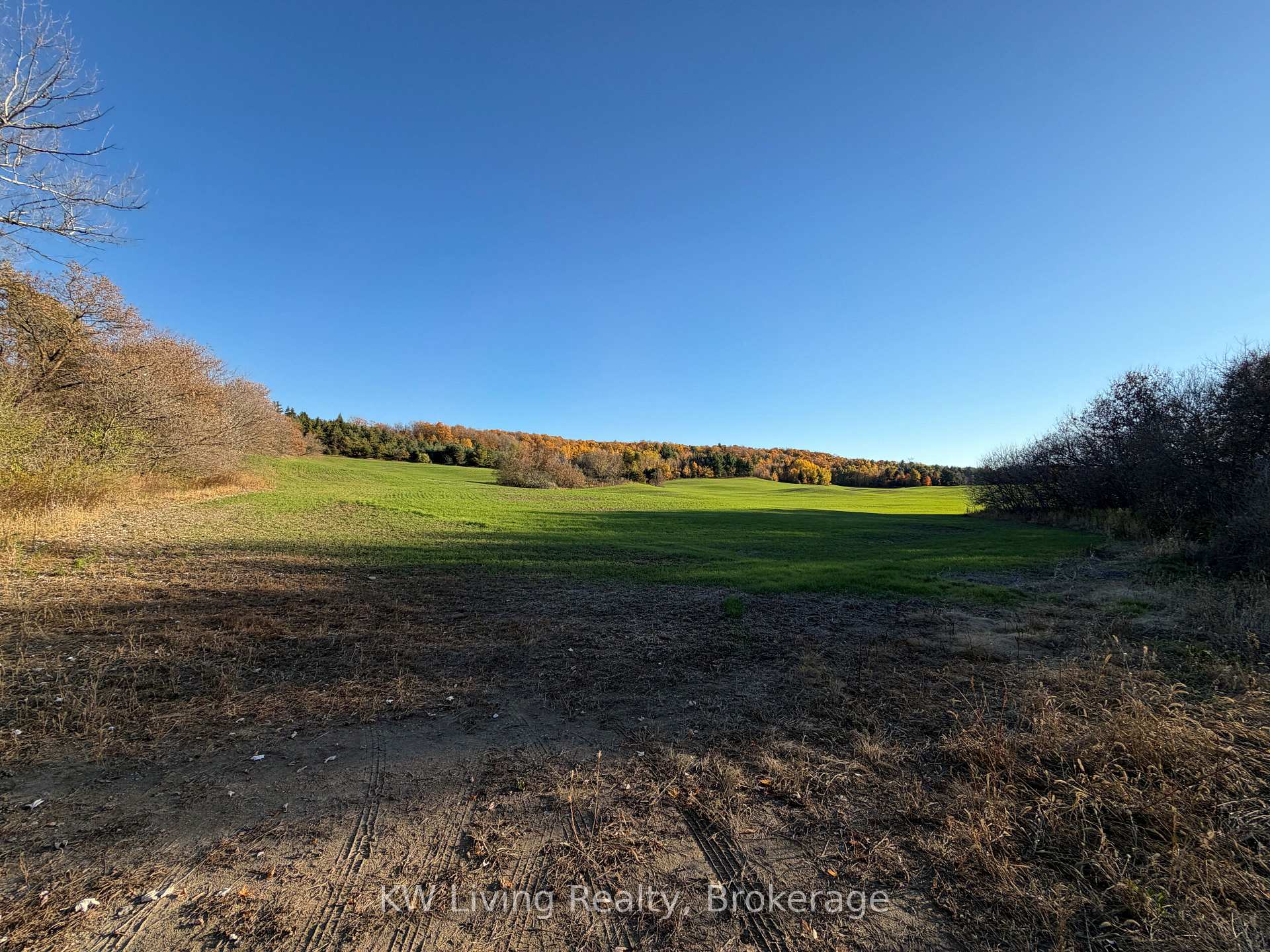 16724 Mount Wolfe Road, Caledon, ON L7E 3P1, Caledon — photo 1