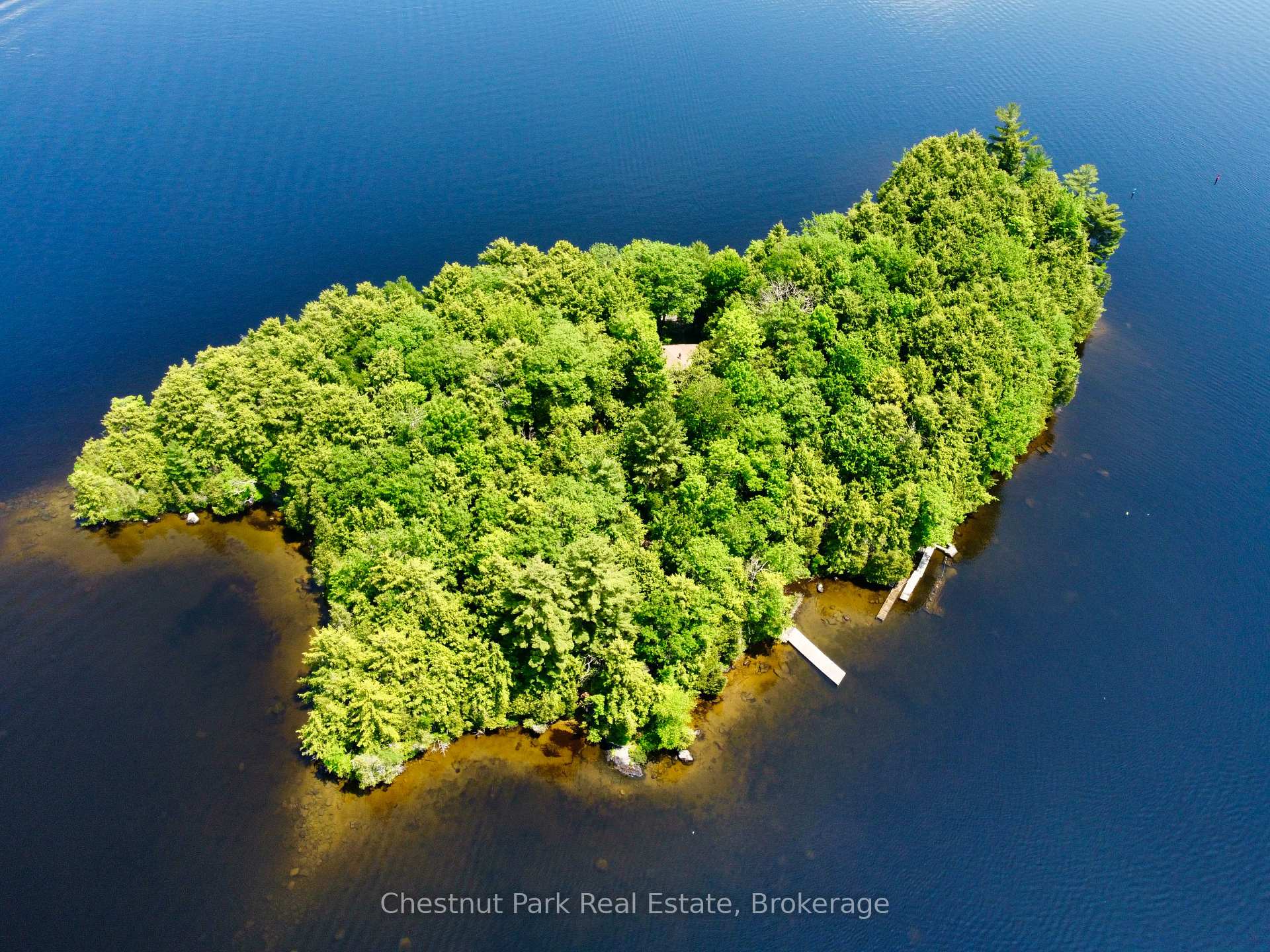 1 Cedar Island, Muskoka Lakes, ON P0B 1J0, Muskoka Lakes — photo 1