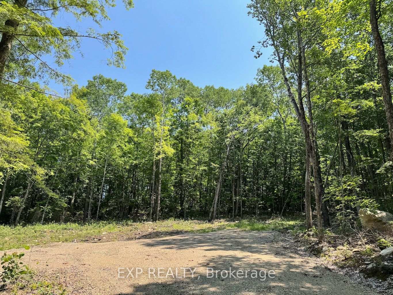 Lot 2 Lakewoods Drive, Madawaska Valley, ON K0J 1B0, Madawaska Valley — photo 1