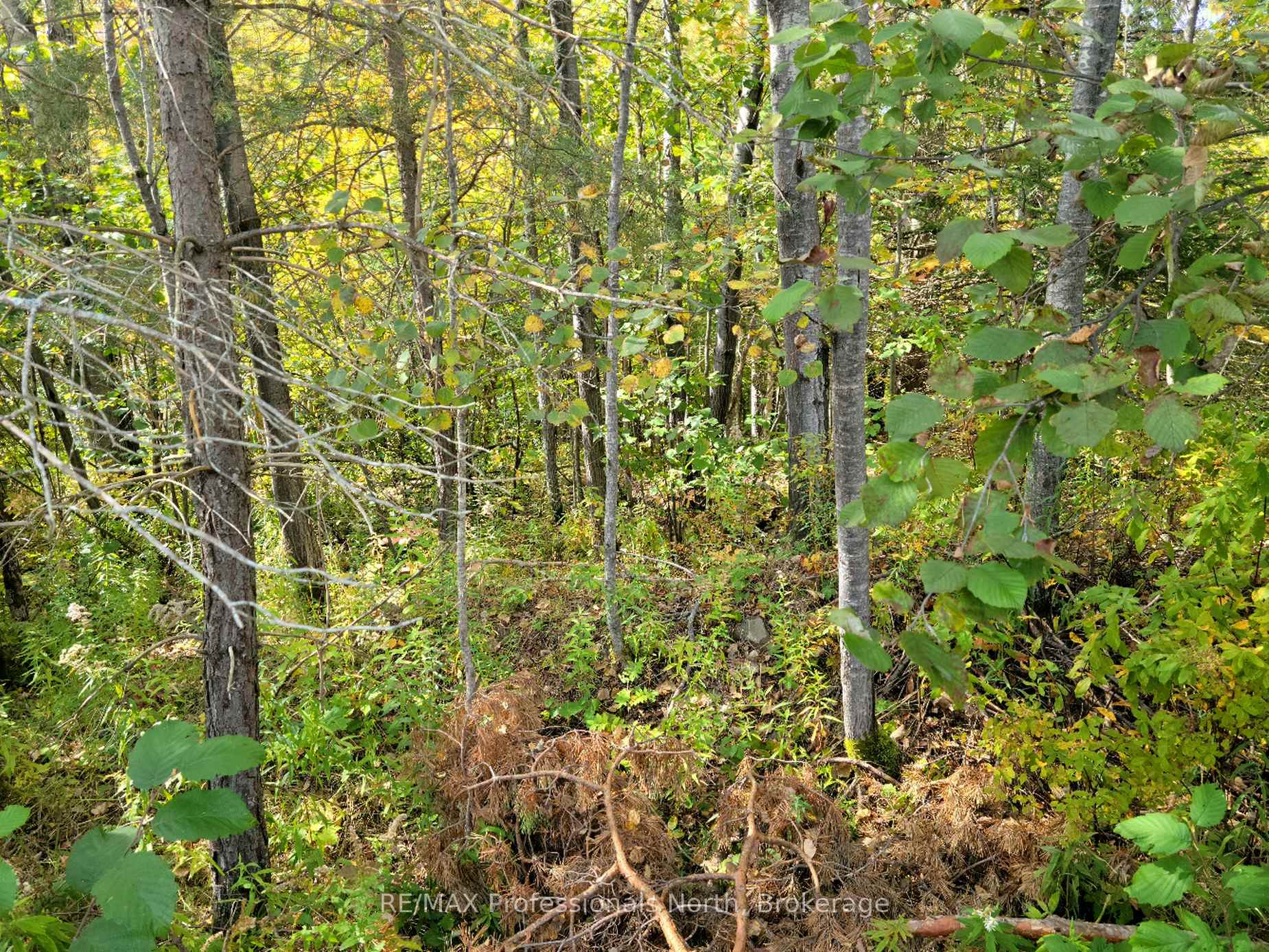4 FOX RUN Lane 32, Huntsville, ON P1H 1E3, Huntsville — photo 1