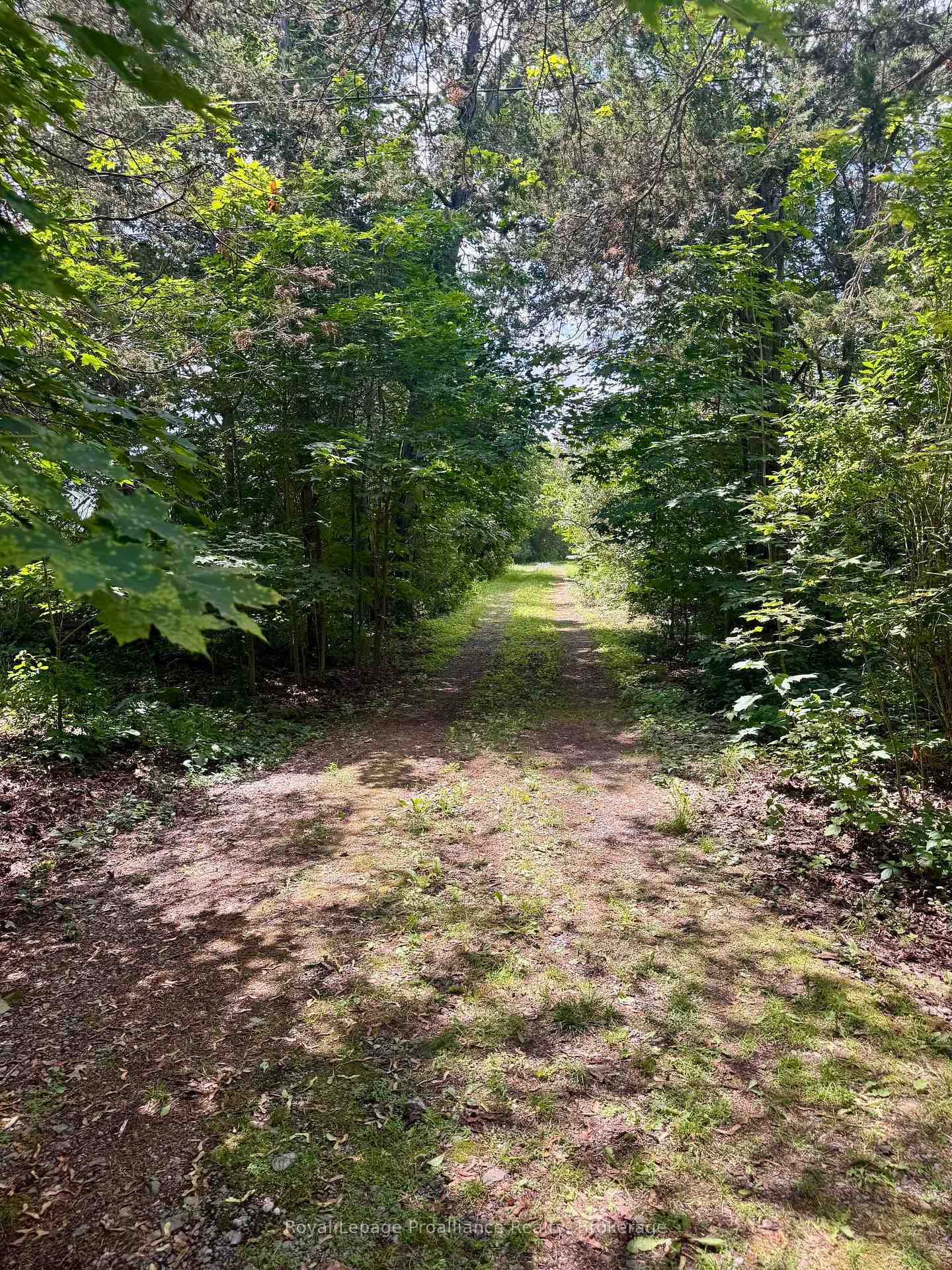 680 County Road 49, Prince Edward County, ON K0K 2T0, Prince Edward County — photo 1