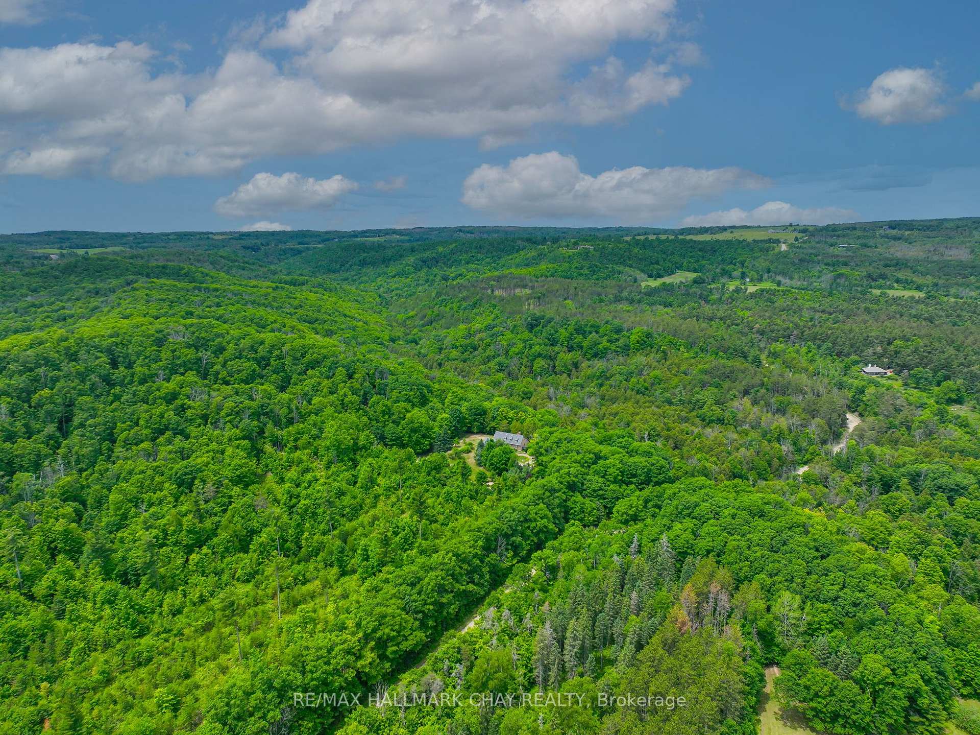 718078 1st Line East Line, Mulmur, ON L9V 0G3, Mulmur — photo 1