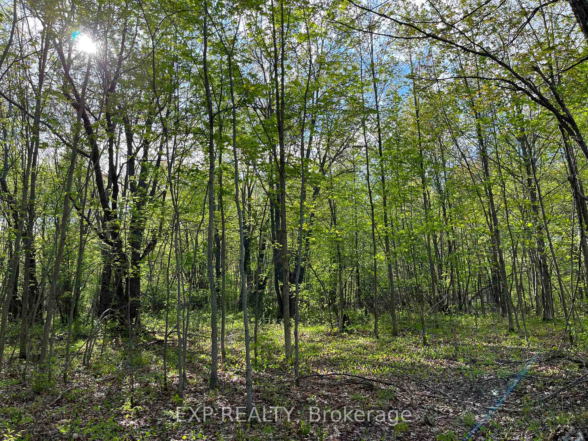 Lot 7 Casson Trail, Madawaska Valley, ON K0J 1B0, Madawaska Valley — photo 1