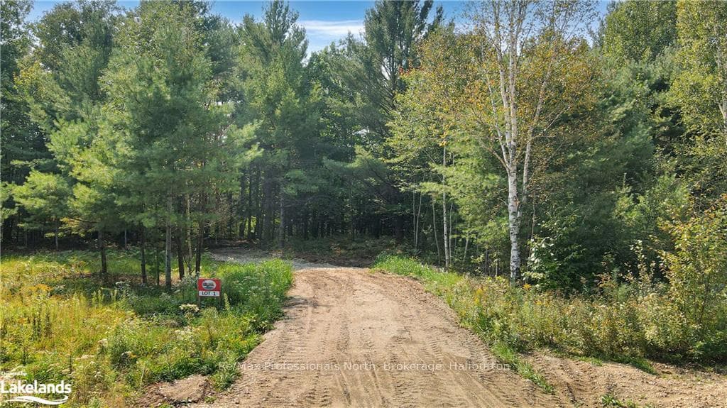 1071 Hawk Valley Road, Algonquin Highlands, ON K0M 1J2, Algonquin Highlands — photo 1