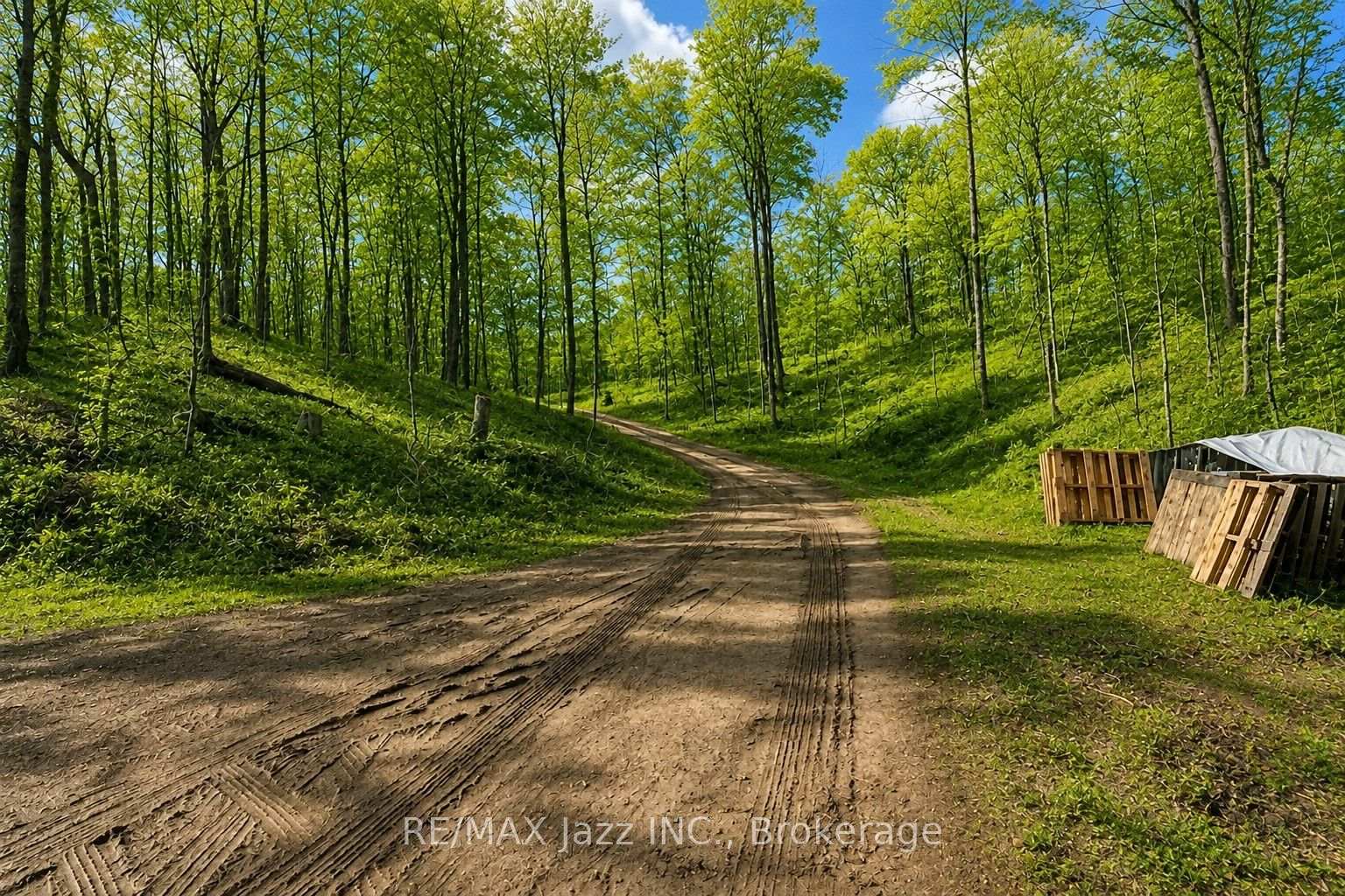 1091 Crystal Lake Road, Trent Lakes, ON K0M 2A0, Trent Lakes — photo 1