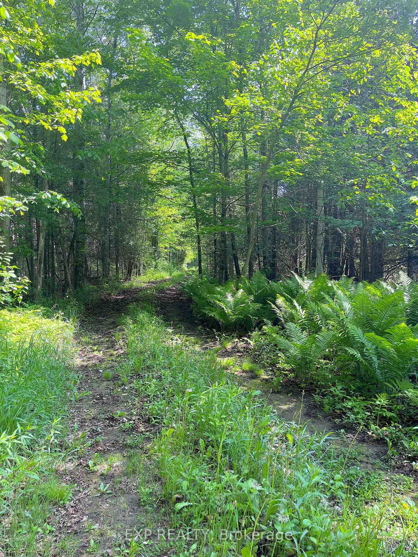 00 Johnston Road, Horton, ON K7V 3Z8, Horton — photo 1