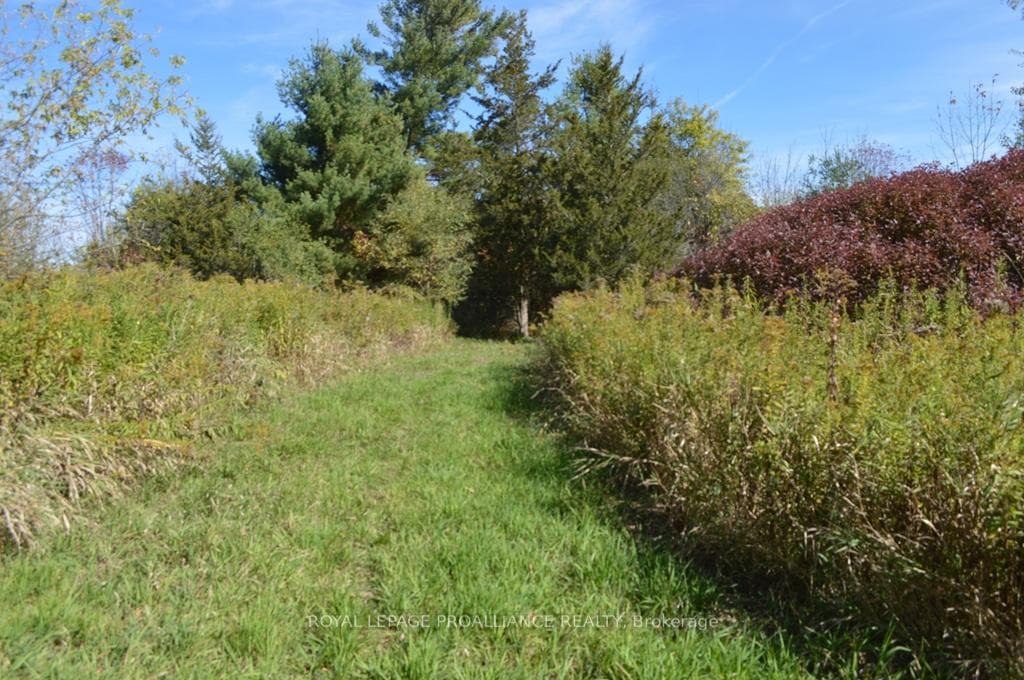 00 Scriver Road, Brighton, ON K0K 1H0, Brighton — photo 1