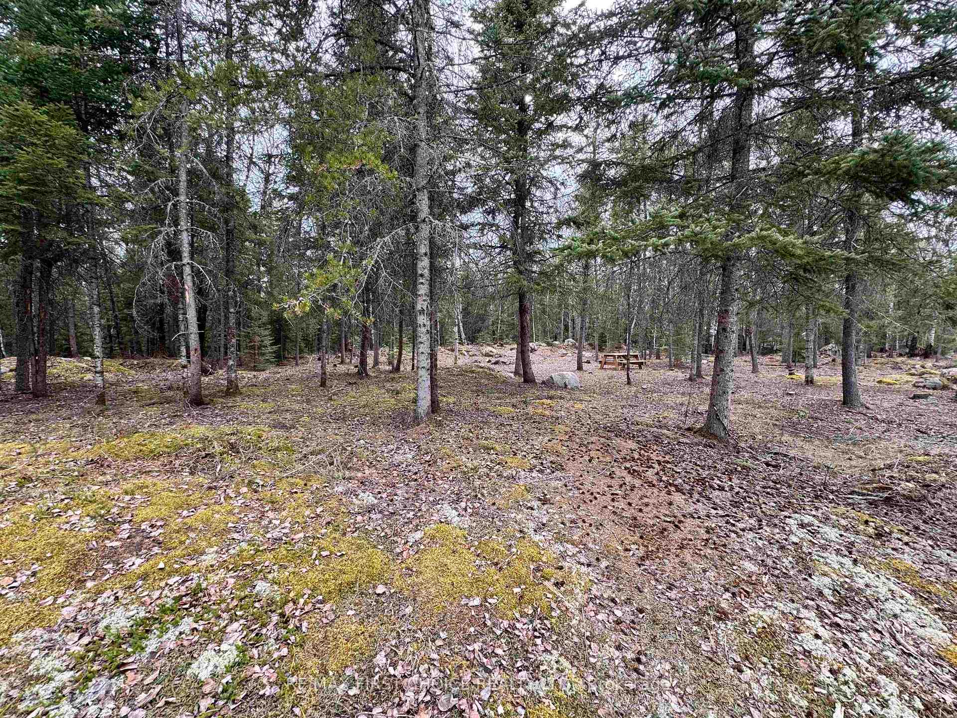 1,2,4,5 Bennett Drive /McManus Street, Red Lake, ON P0V 1C0, Red Lake — photo 1