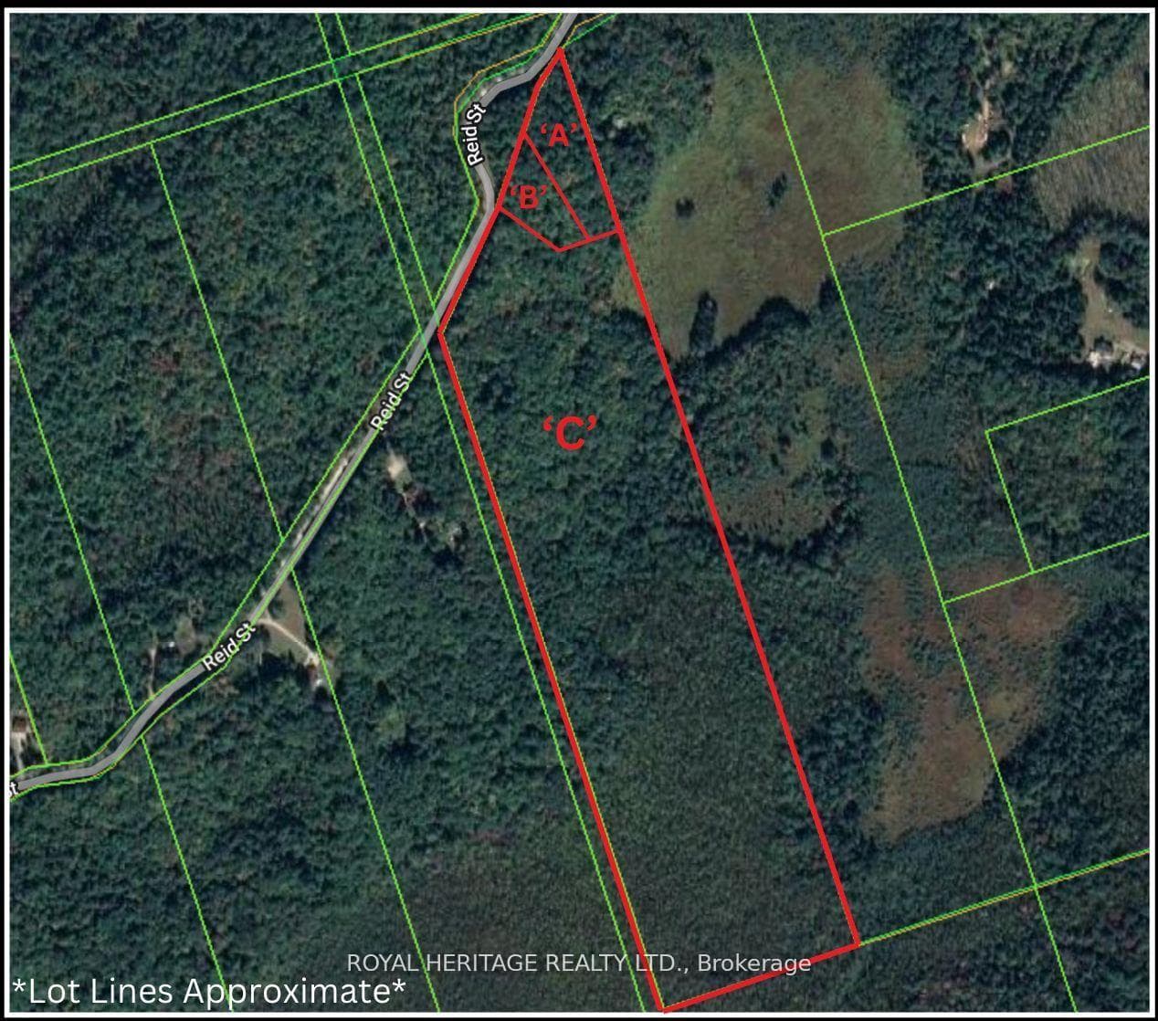 0A Reid Street, Trent Lakes, ON K0M 2A0, Trent Lakes — photo 1