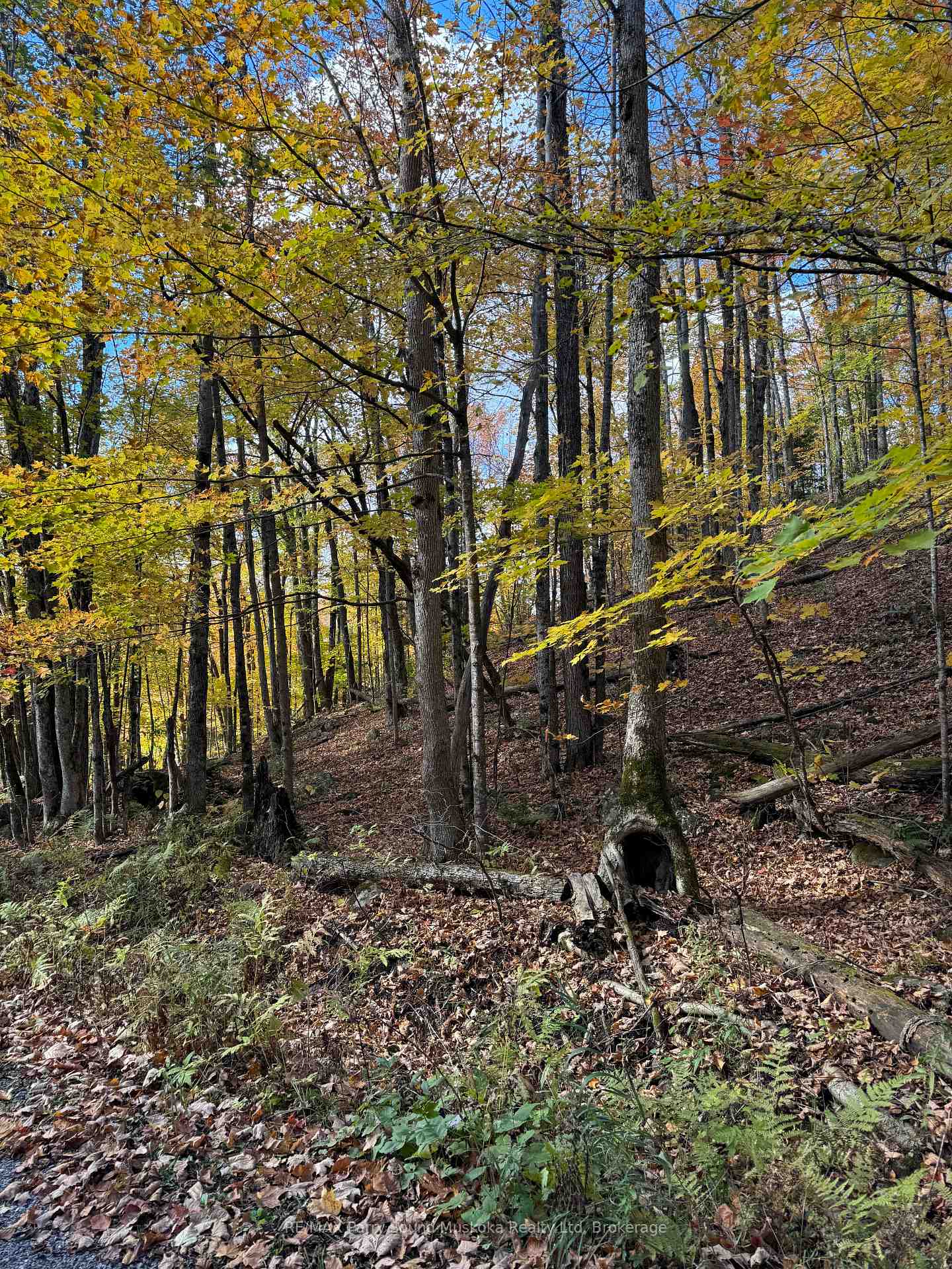 353C BALSAM CREEK Road, Parry Sound Remote Area, ON P0H 1S0, Parry Sound Remote Area — photo 1