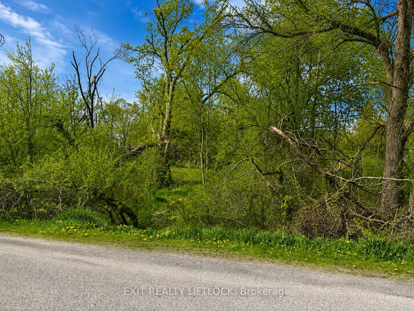 0 Maple Ridge Drive, Kawartha Lakes, ON K0L 2W0, Kawartha Lakes — photo 1