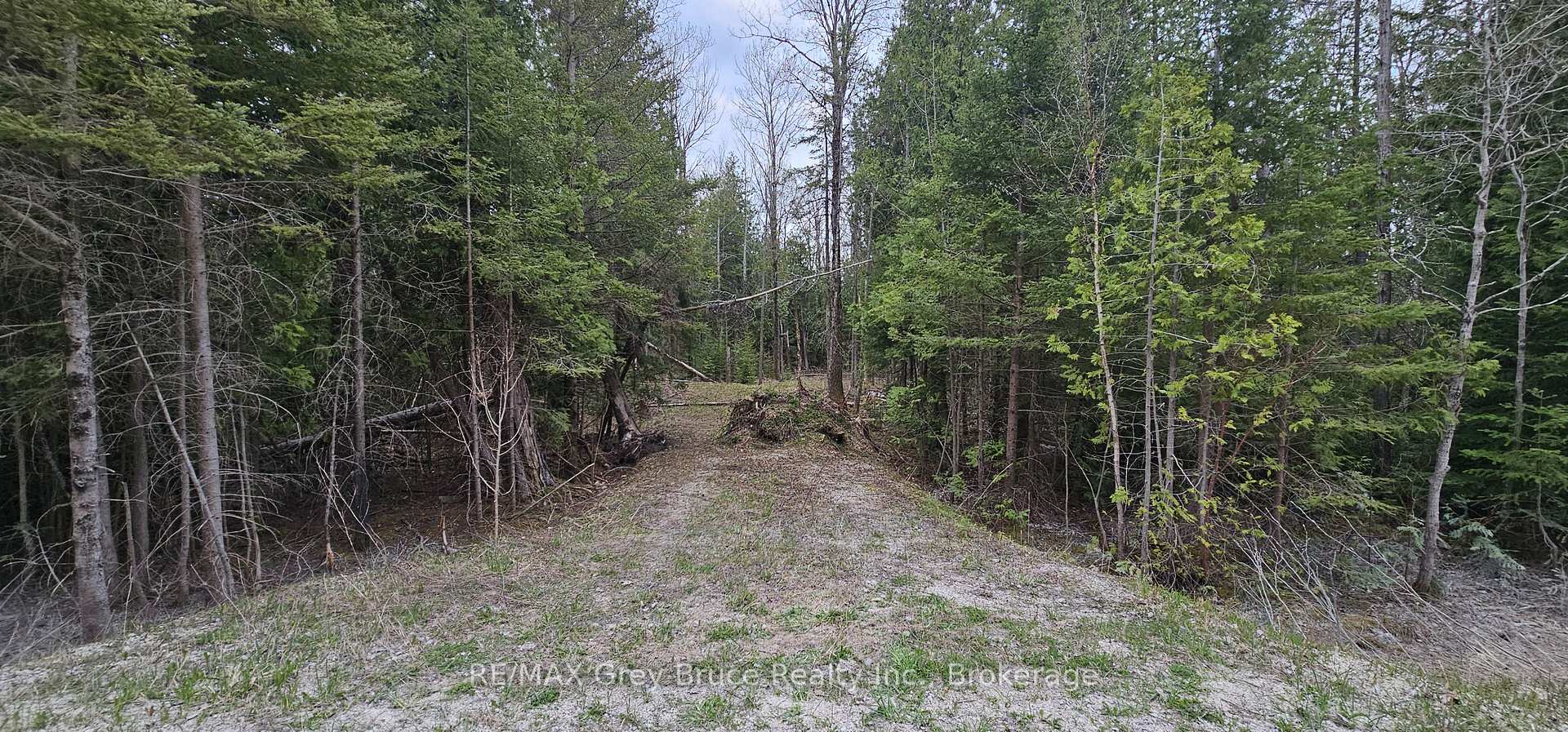 43 Hardwick Cove Road, Northern Bruce Peninsula, ON N0H 1W0, Northern Bruce Peninsula — photo 1