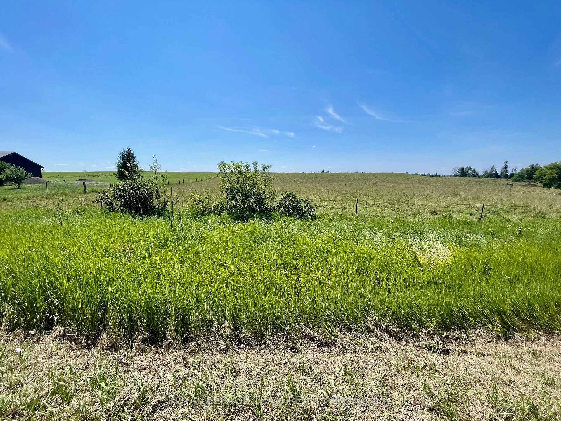 00 Foresters Falls Road, Whitewater Region, ON K0J 1V0, Whitewater Region — photo 1