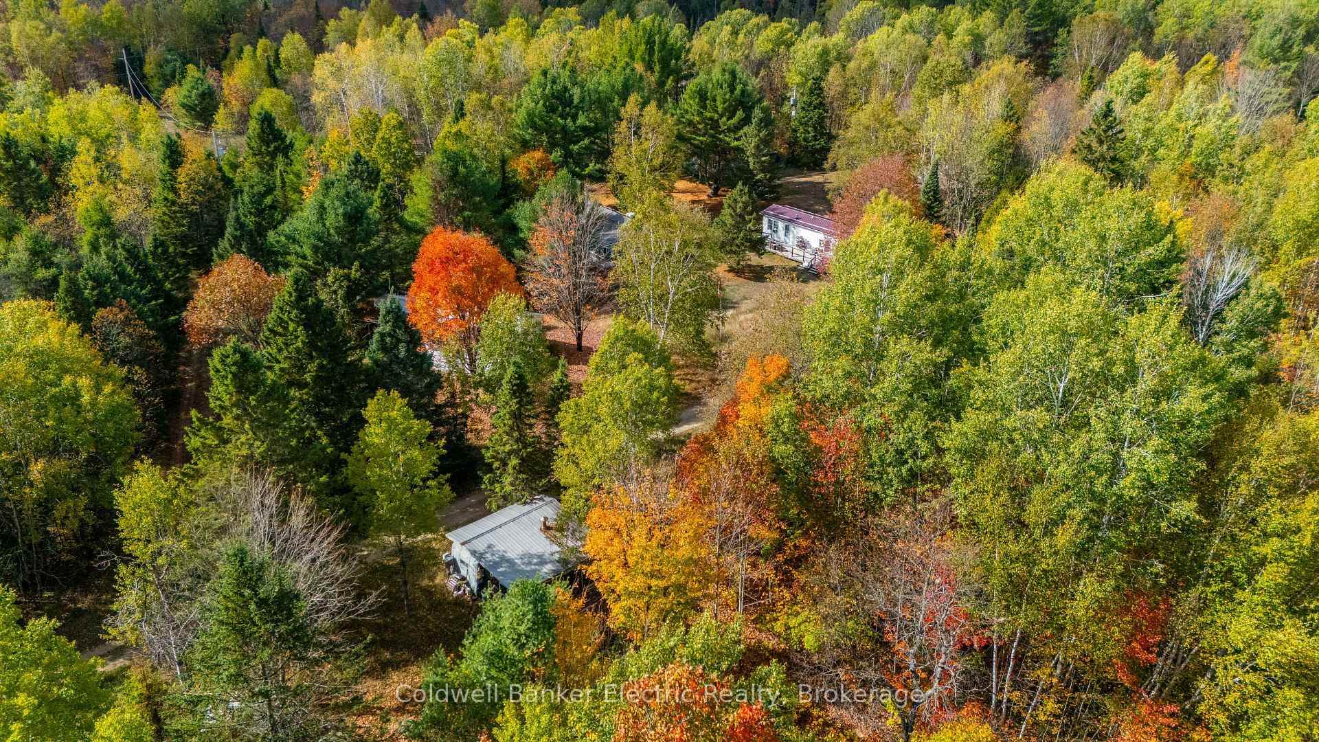 1304 Lower Monmouth Lake Road, Highlands East, ON K0L 2Y0, Highlands East — photo 1