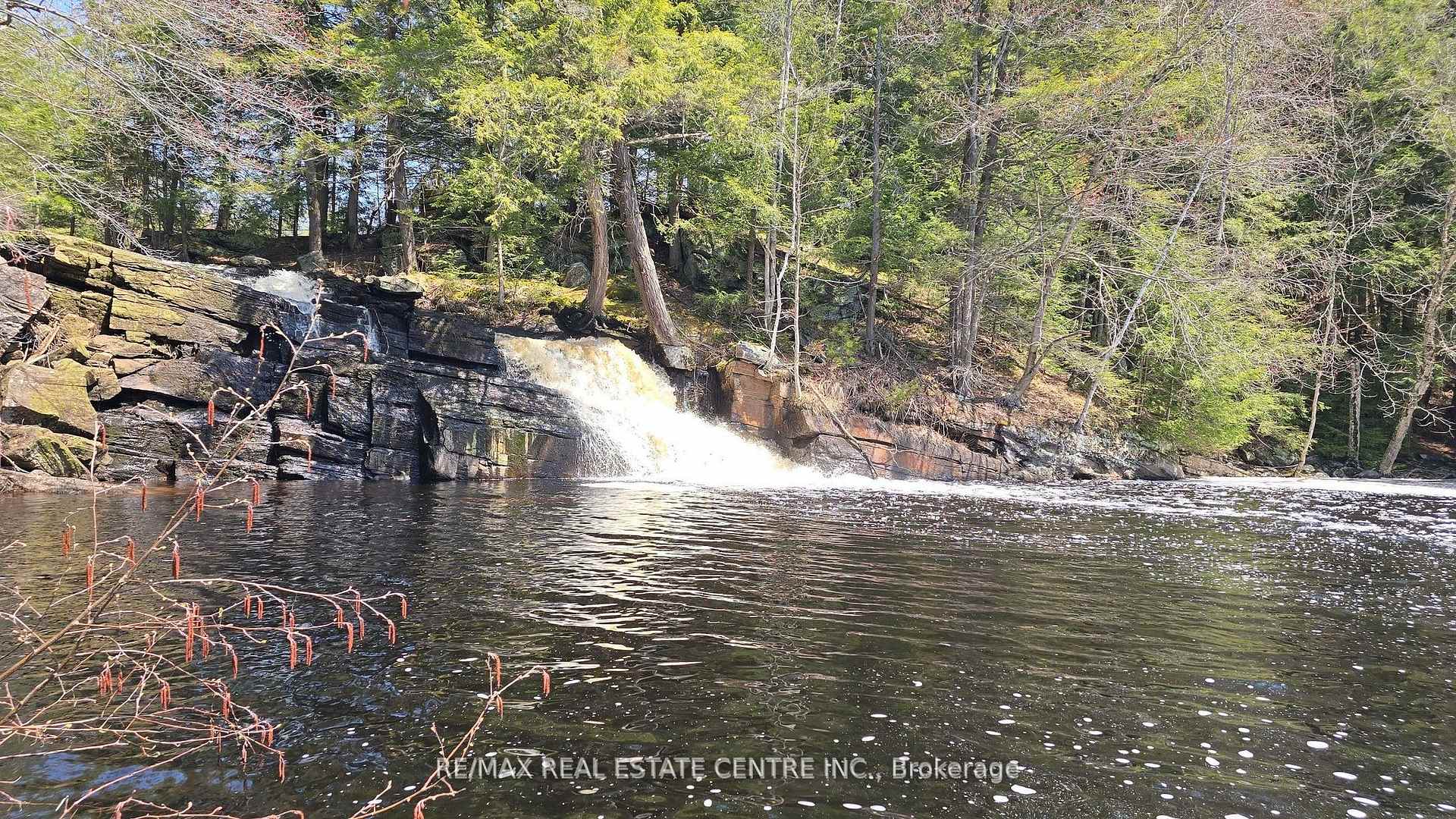 1033 North Shore Drive, Gravenhurst, ON P1P 1R1, Gravenhurst — photo 1