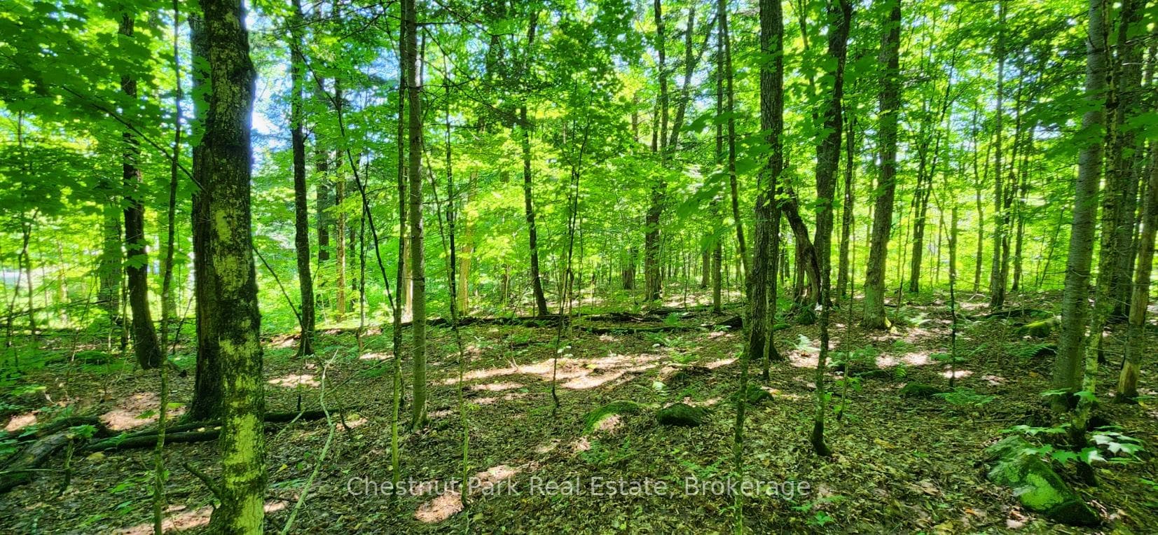 0 Skyline Drive, Armour, ON P0A 1C0, Armour — photo 1