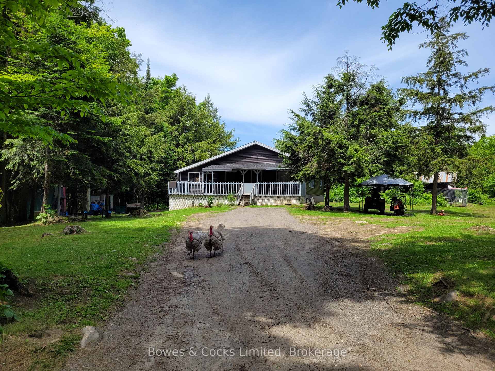246 Hickey Trail, Hastings Highlands, ON K0L 1C0, Hastings Highlands — photo 1