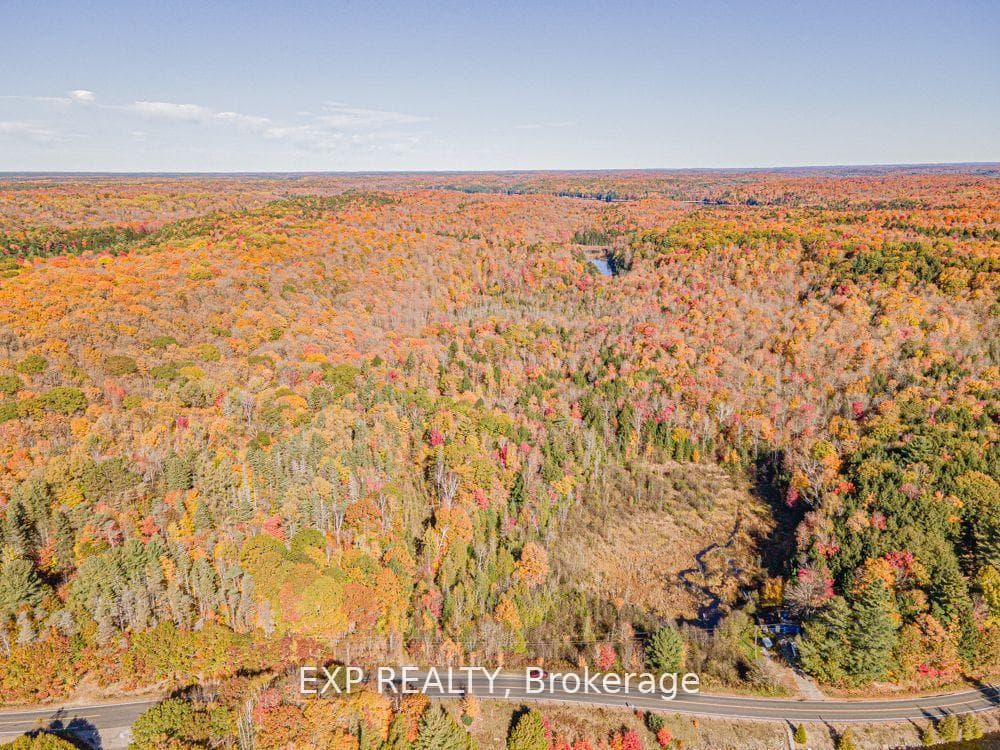 3349 Deep Bay Road, Minden Hills, ON K0M 2K0, Minden Hills — photo 1