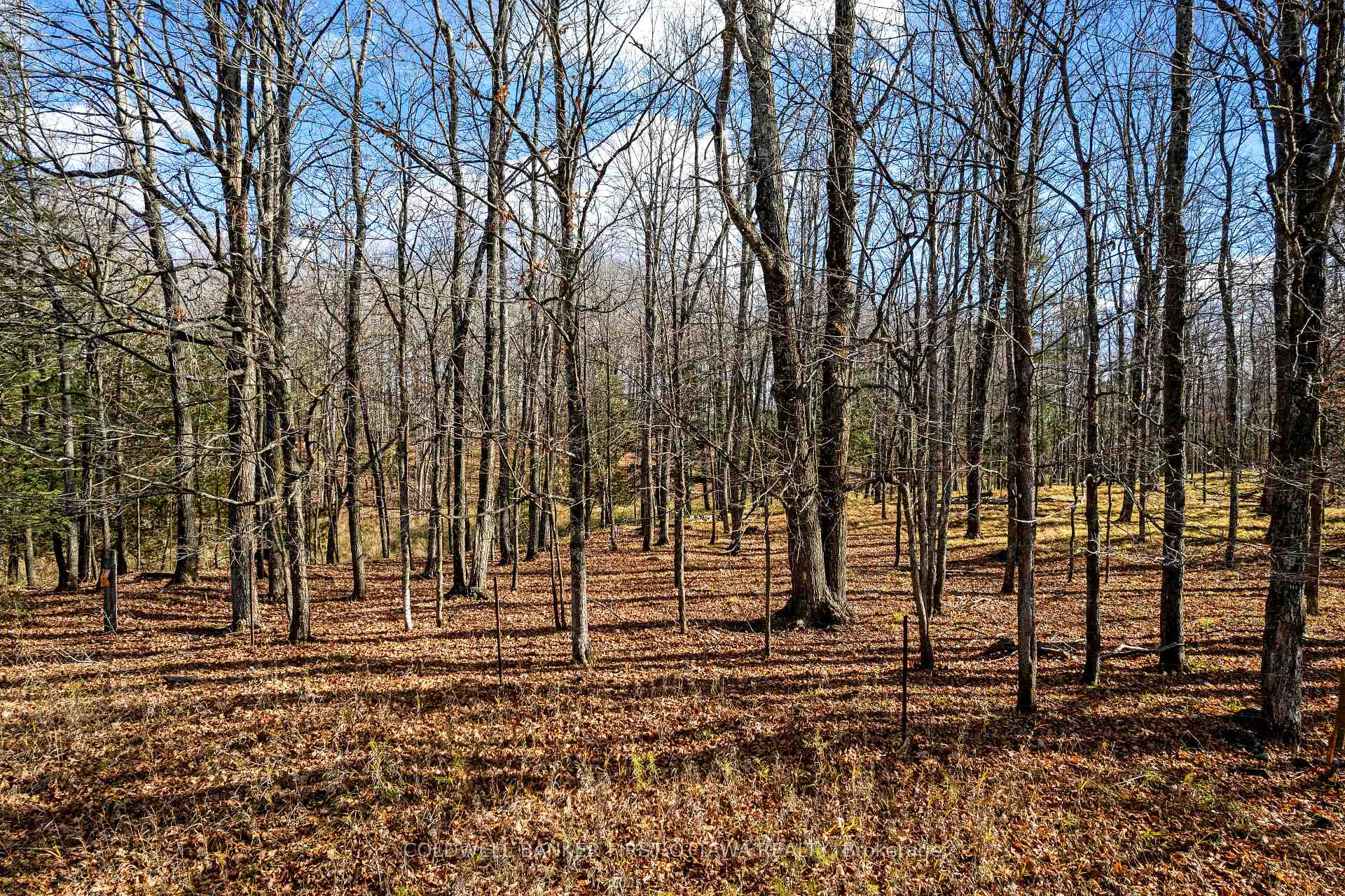 PT 3-00 Herron Mills Road, Lanark Highlands, ON K0G 1K0, Lanark Highlands — photo 1