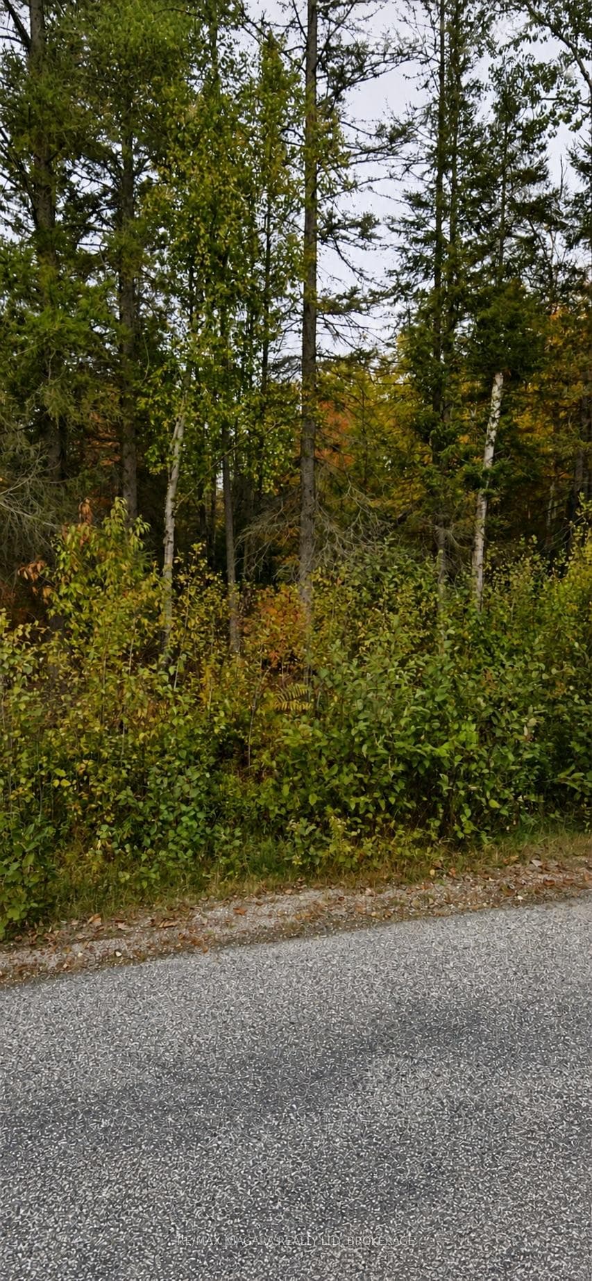 none Sweezey Street, Powassan, ON P0H 2L0, Powassan — photo 1