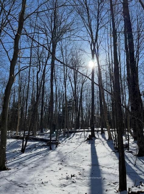 440 Riding Ranch Road, Machar, ON P0A 1X0, Machar — photo 1